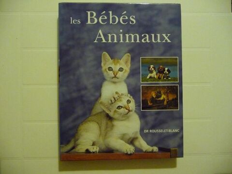 Les bbs animaux - livre Grand Format Neuf 18 Celles-sur-Belle (79)