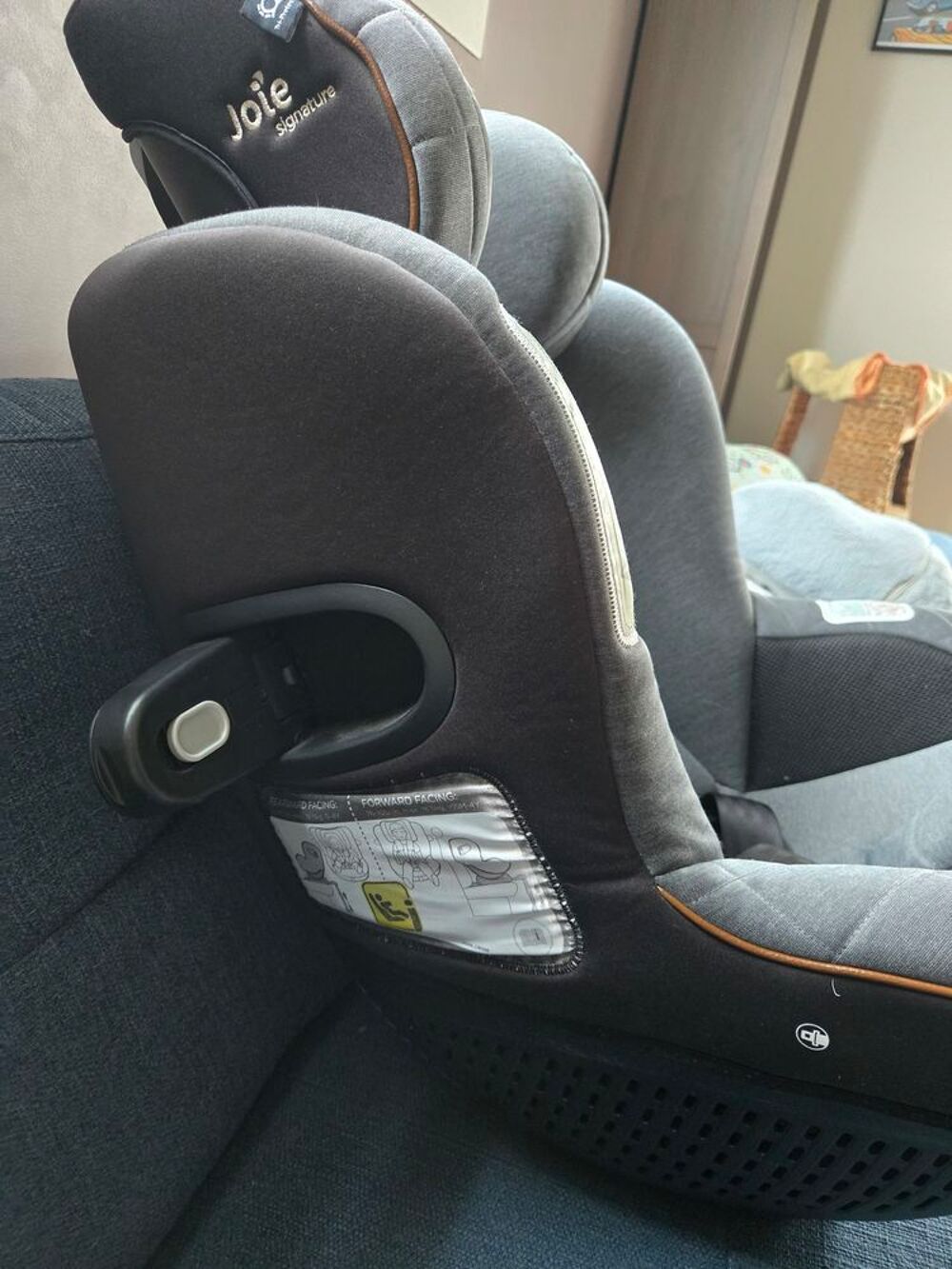 Siege auto Pu�riculture