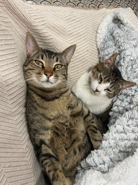 Dulce & Puchero 440 27620 Gasny