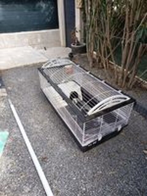   Cage a lapin , cobaye  