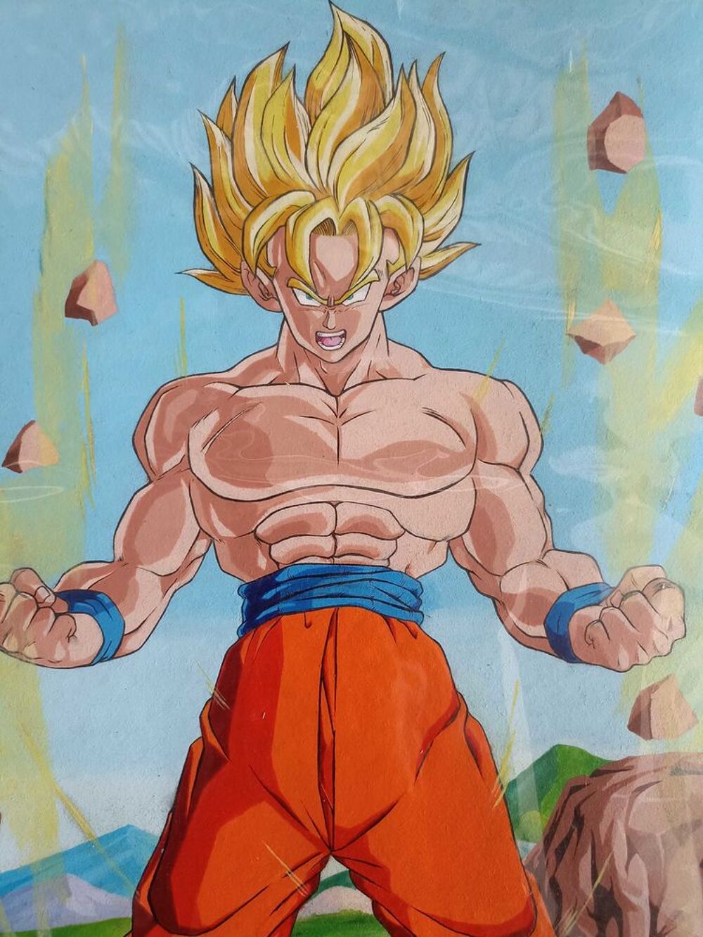 tableau d&eacute;co dragon ball z, Songoku Décoration