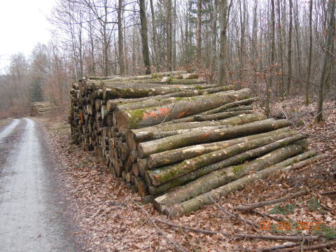 Bois en longueur de 2 m�tres dur et sec 68 Amiens (80)