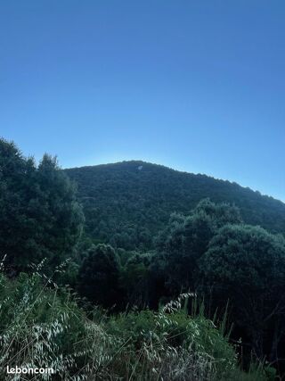  Terrain à vendre 50000 m² Santa-maria-siché