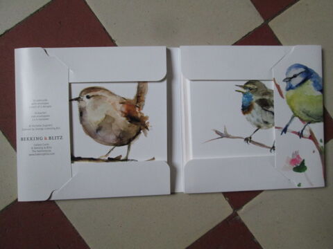 10 cartes (avec enveloppes) avec oiseaux peints M. Dujardin Herblay (95)