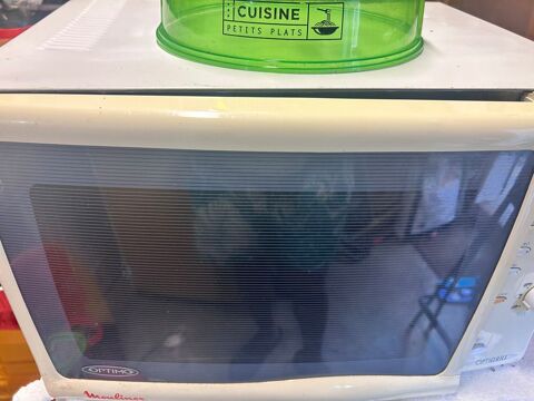 Micro ondes 30 Luplant (28)