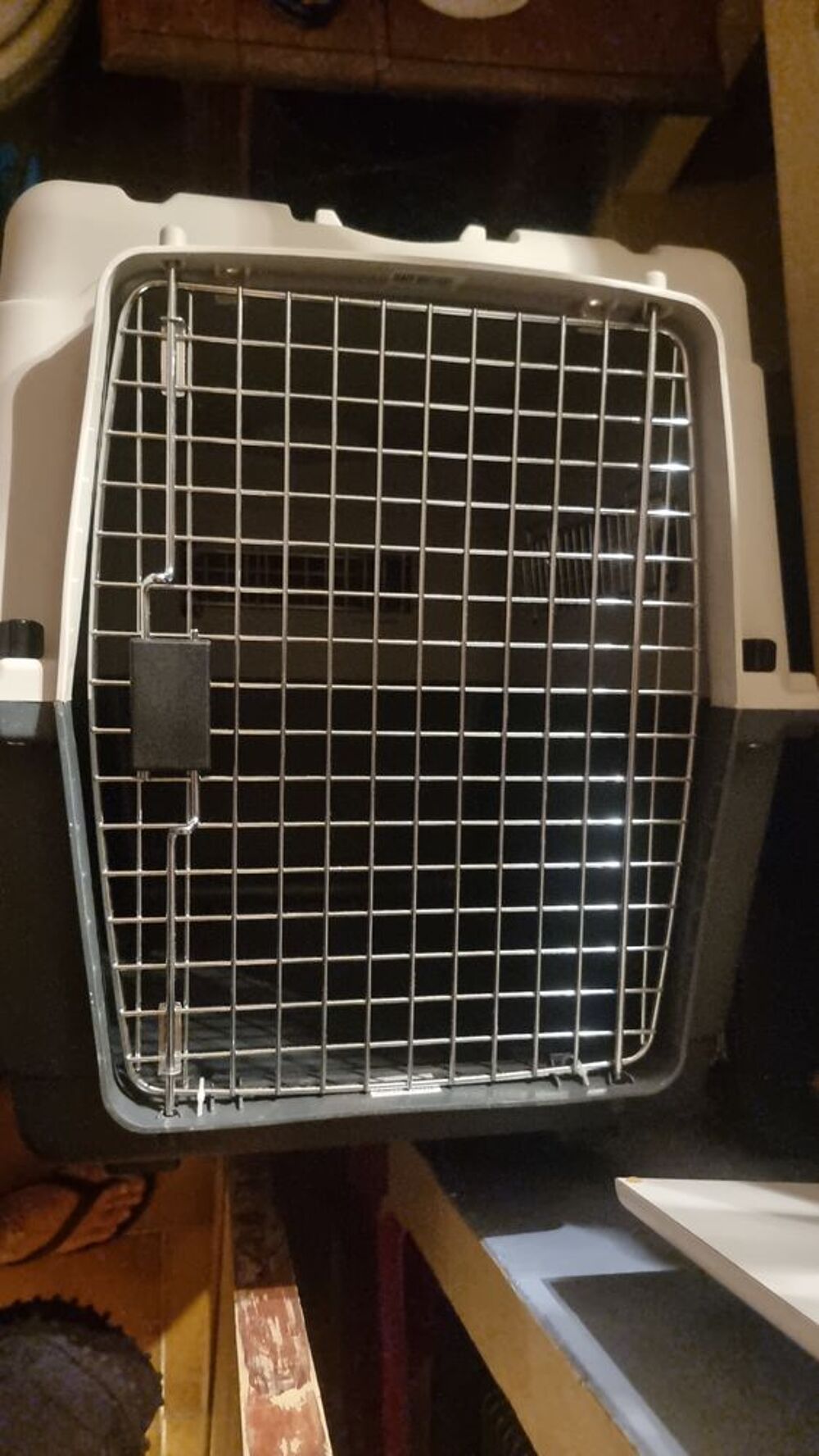   Neuve, caisse de transport grand format chien 