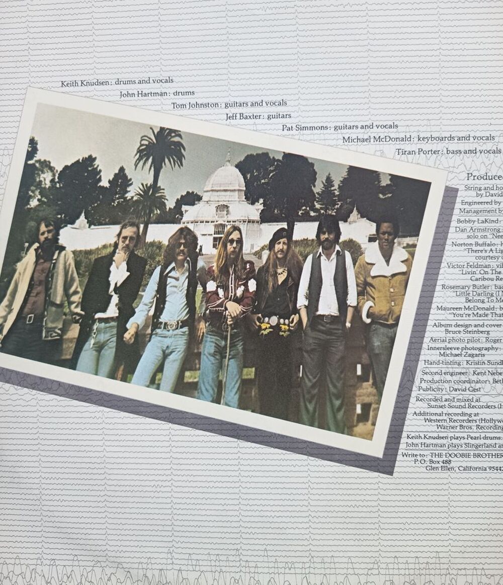 1 33 tours vinyle the doobie brothers CD et vinyles