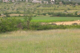  Terrain à vendre 9200 m²