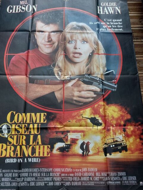 affiche cinma comme un oiseau sur la branche 9 Lisieux (14)