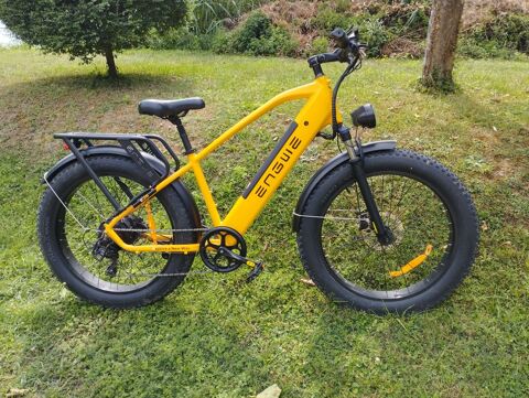VTT électrique Engwe L26 La Guerche-sur-l'Aubois (18)