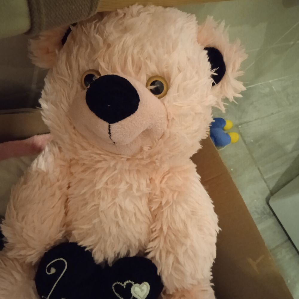 lot diverses peluches Jeux / jouets
