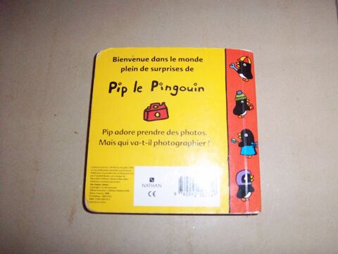 pip le pingouin prend des photos 1 Bossay-sur-Claise (37)