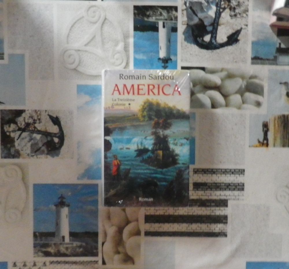 AMERICA T1 LA TREIZIEME COLONIE de Romain SARDOU France Lois Livres et BD