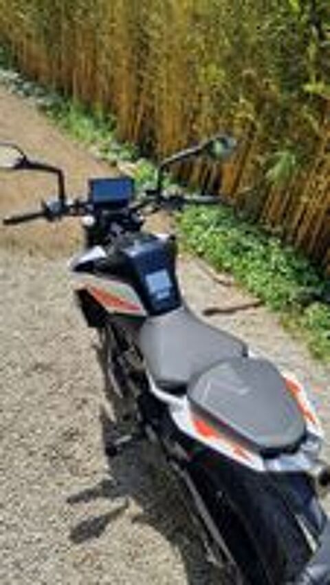 KTM 2023 occasion 65290 Louey