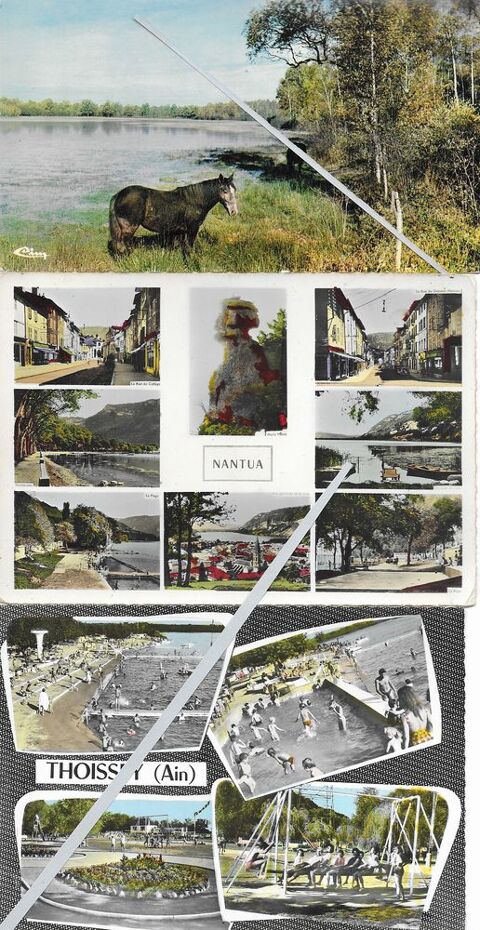 Nantua ,Thoissey, paysage de la Dombes, 01 3 Tours (37)