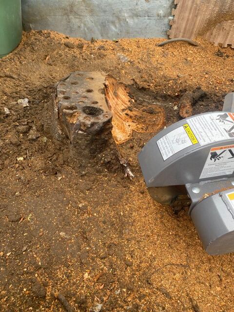 Rognage de souche ,
0 91840 Soisy-sur-�cole