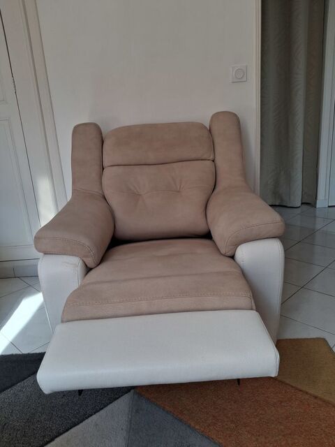 fauteuils La Ferté-Saint-Aubin (45)