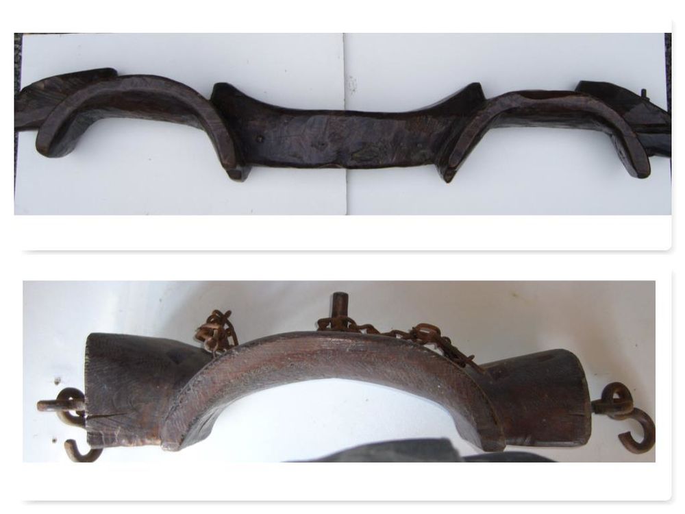 Jougs d'attelage et joug de dressage pour boeufs
Décoration