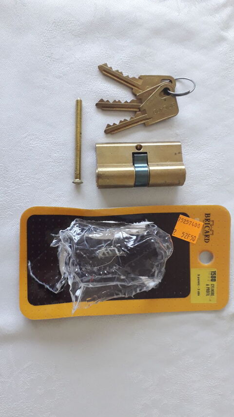 Cylindre  profil BRICARD
25 Salon-de-Provence (13)