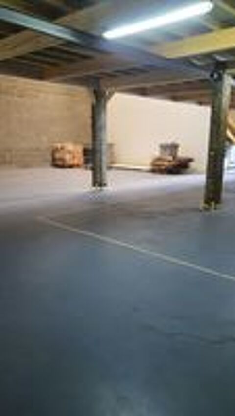    local  d 'activite Lyon Nord 420 m2 