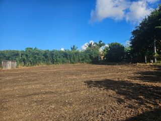  Terrain � vendre 1563 m�