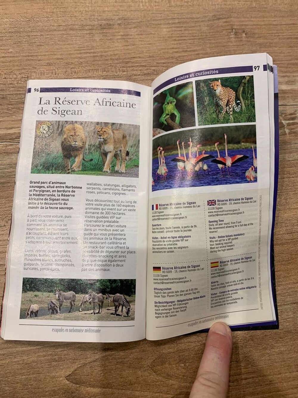 Livre / Guide 2021 - 2022 " Escapades en narbonn Livres et BD