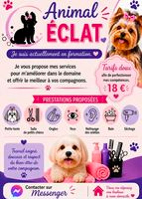   Toilettage a domicile  
