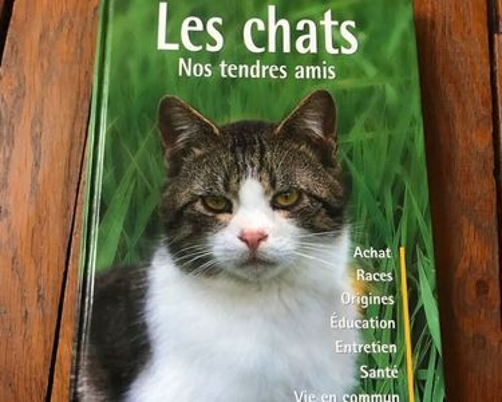 Superbe livre : Les Chats Livres et BD