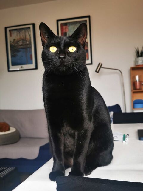 Night 200 44000 Nantes