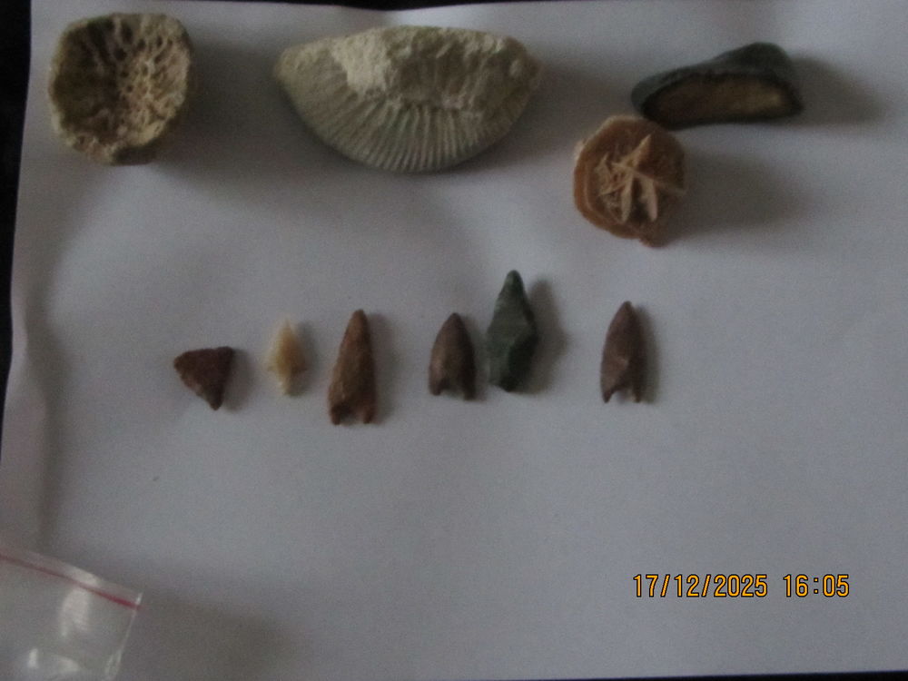 COLLECTION PIERRES ET SYLEX 