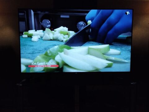 t�l�viseur Sony 250 Le Grand-Quevilly (76)