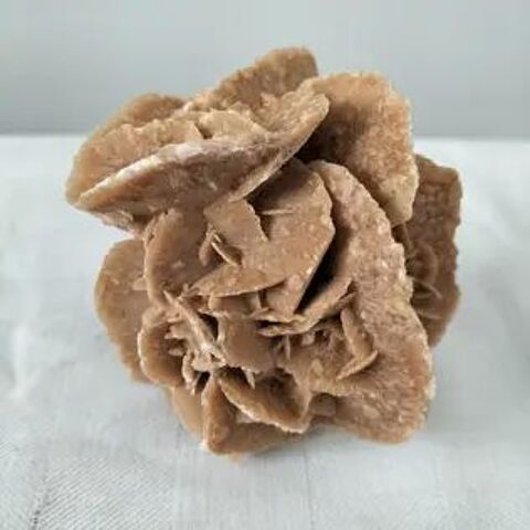 Rose des sables 10 Tassin-la-Demi-Lune (69)