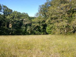  Terrain à vendre 3000 m² Le vigan