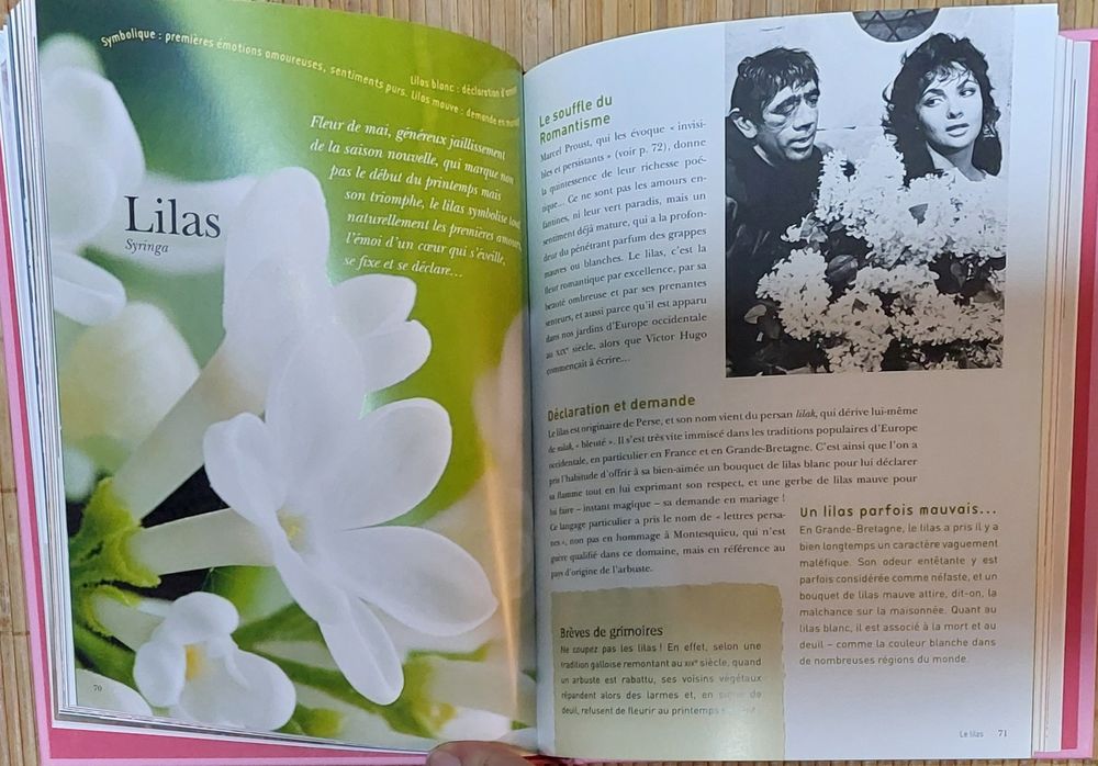 Livre le Langage des fleurs Livres et BD
