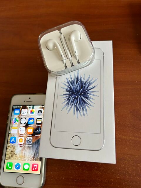 IPHONE SE 64 Go 160 Pornic (44)
