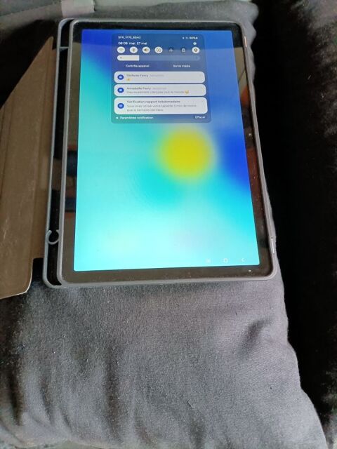 tablette Samsung Galaxy 120 Grardmer (88)