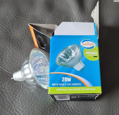 Ampoules 10 Talmont-Saint-Hilaire (85)