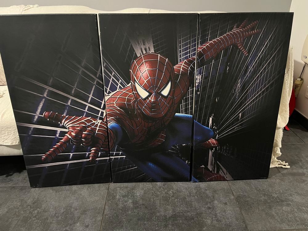 Cadre en toile en 3 pi&egrave;ces Spiderman Décoration