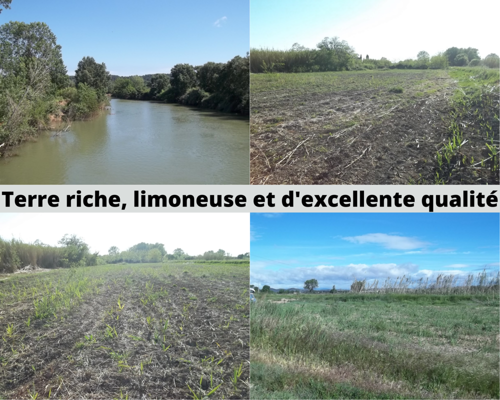 Location Terrain Terrain de loisir, jardin au bord de l'Aude, entre Lespignan Fleury
