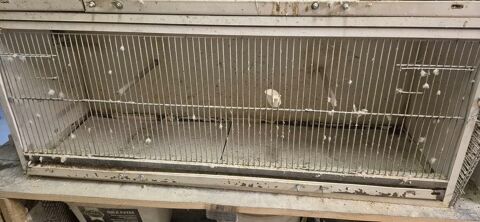 Cage batterie 120cm de long. 30 95190 Goussainville