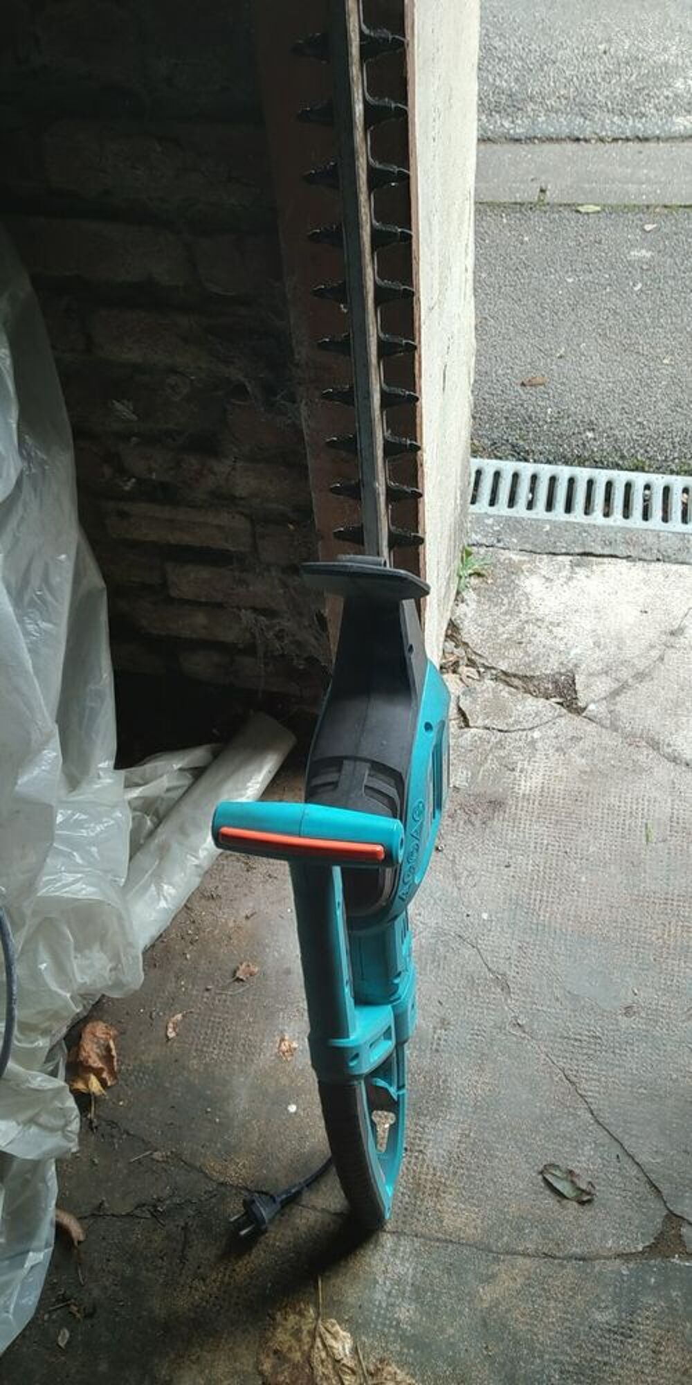 taille haie Jardin