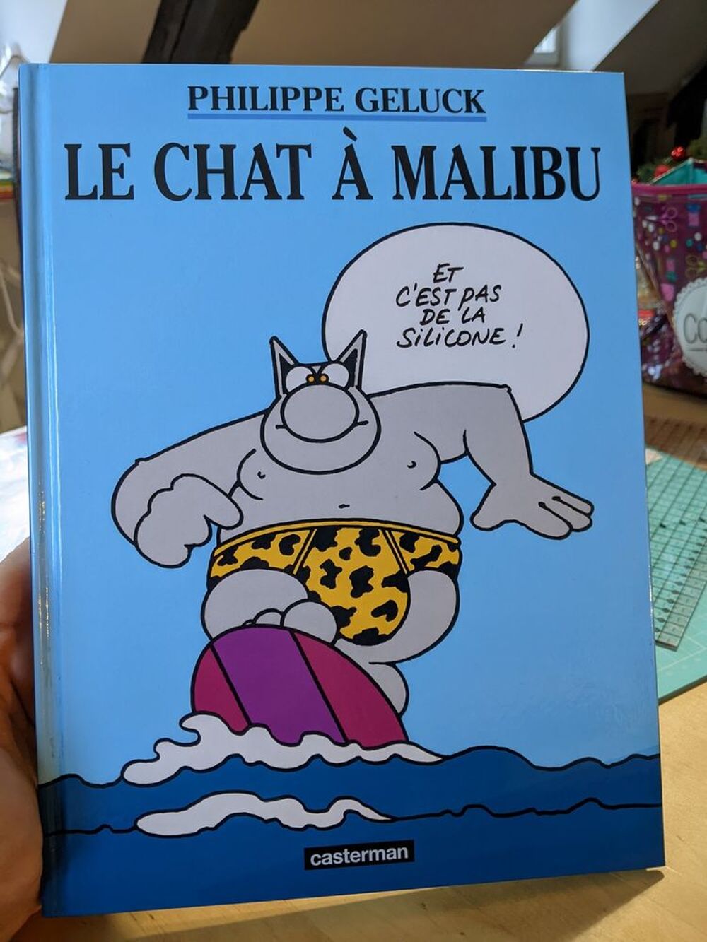 BD LE CHAT GELUCK Livres et BD
