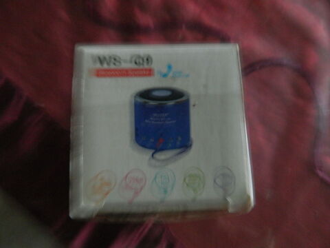 Mini  ENCENTE ws/q9 radio fm blutoot 10 Neuville-en-Ferrain (59)