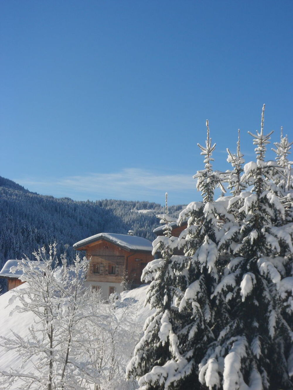   Chalet tout confort pour 5 pers avec SAUNA 
Rhne-Alpes, Les Gets (74260)