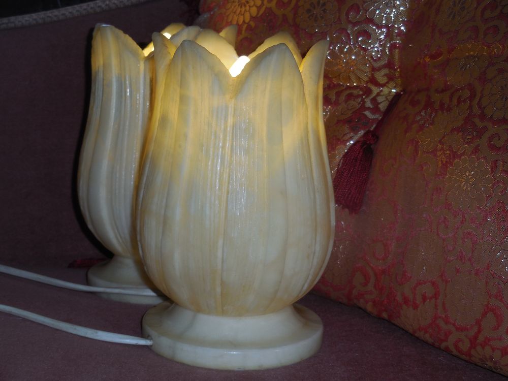 Deux jolies lampes en alabastre Décoration