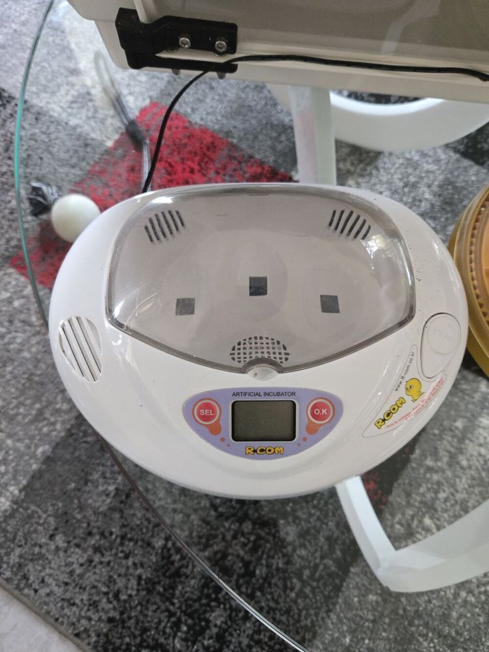 PETITE COUVEUSE 3 OEUFS Bricolage