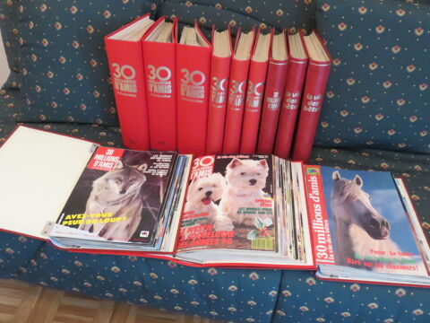 REVUES  30 MILLIONS D'AMIS  Oyonnax (01)