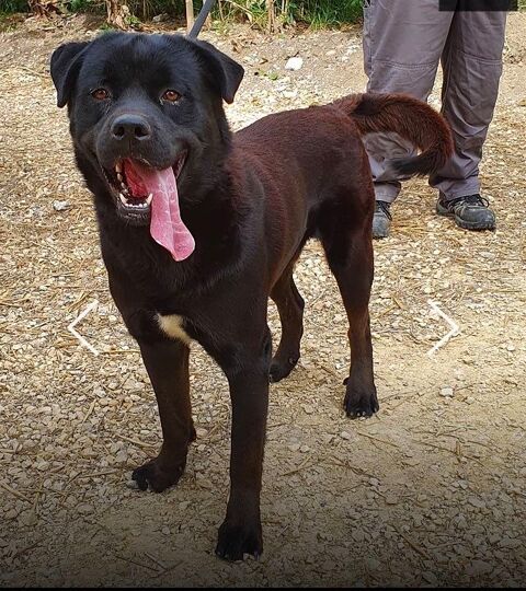 Malo 26700 Pierrelatte