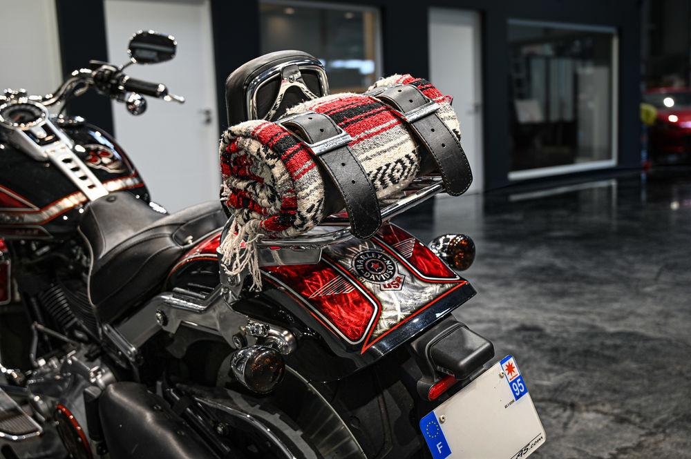 HARLEY-DAVIDSON 2020 occasion 60280 Clairoix