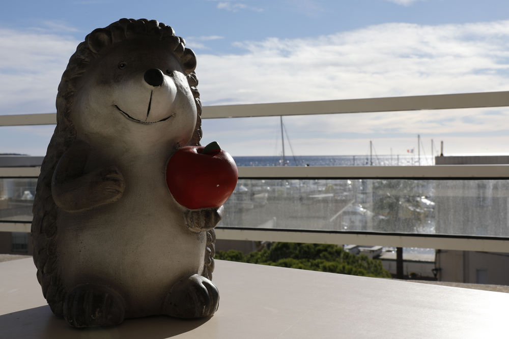 Location Appartement moyenne dure vue mer. Vallauris